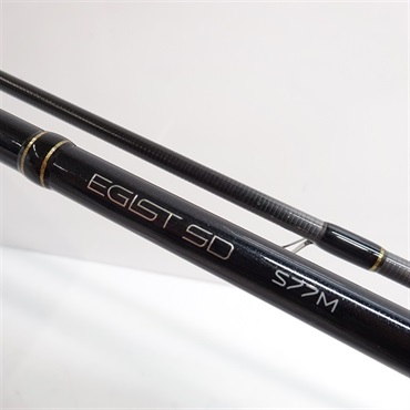 ２５エギストＳＤＳ７７Ｍ